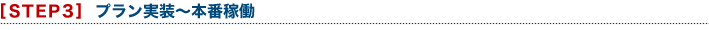 [STEP3]プラン実装～本格稼働