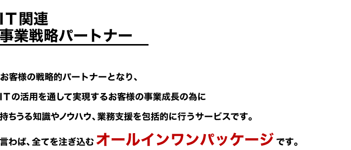 IT関連事業戦略パートナー　ITの活用を通してお客様の事業成長を実現します！