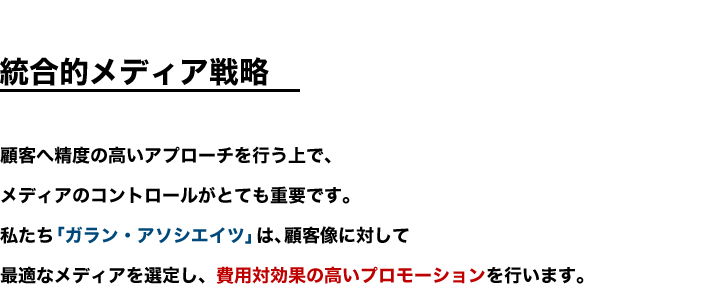 統合的メディア戦略　顧客への精度の高いアプローチを行う上で、メディアコントロールがとても重要です。